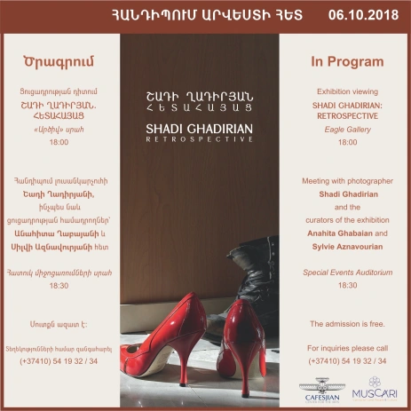 ENCOUNTERS WITH ART: Shadi Ghadirian