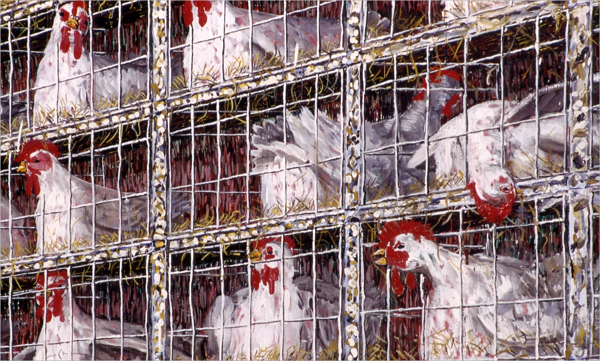 Doug Argue: Chicken Paintings