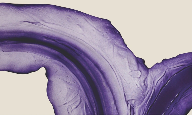 11: Selections of Armenian Contemporary Abstract Art