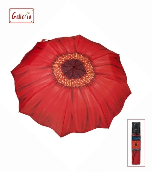 Folding umbrella N2